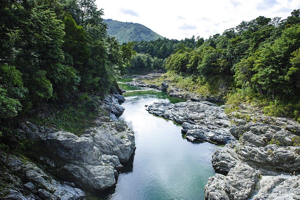 River contributing water to the Marlborough Sounds, South Island, New Zealand, Pacific 