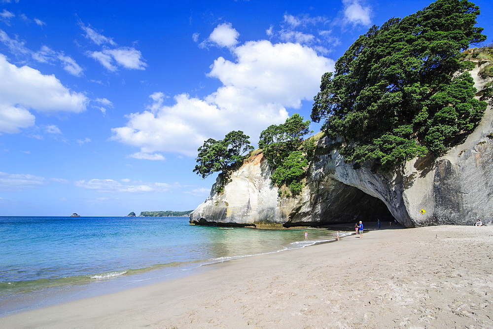 White sand beach on Cathedral Cove, Coromandel, North Island, New Zealand, Pacific 