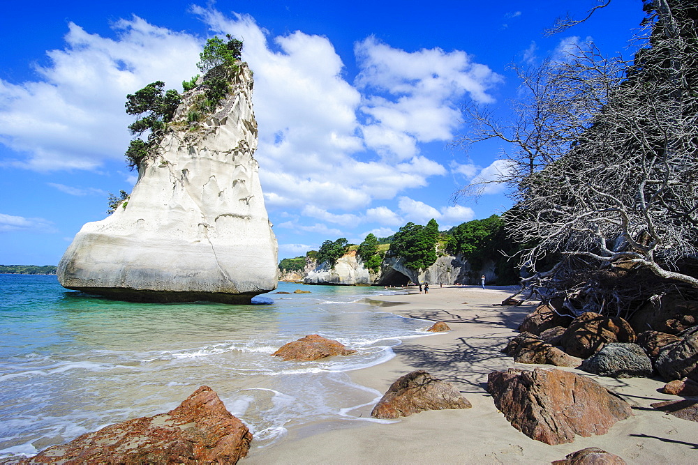 Giant rock on the sandy beach of Cathedral Cove, Coromandel, North Island, New Zealand, Pacific 