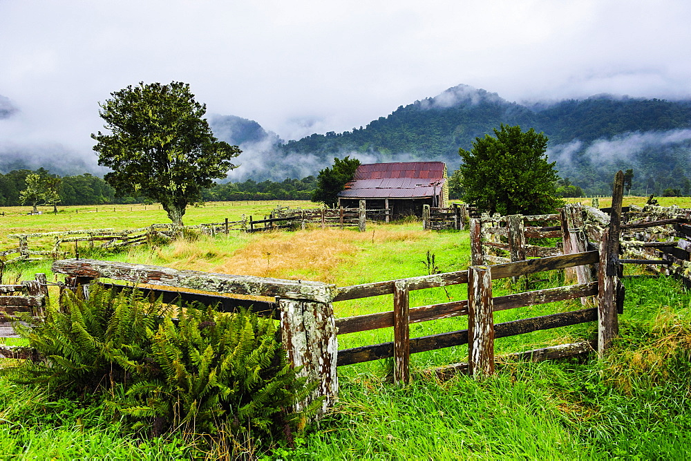 Old farm in a moody atmosphere, West Coast around Haast, South Island, New Zealand, Pacific 