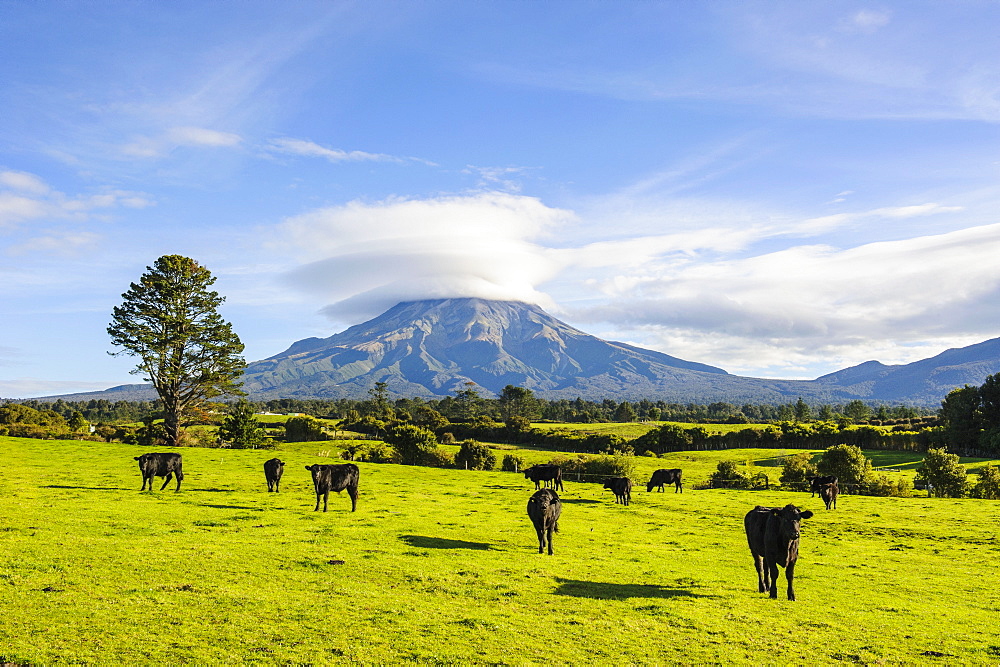 Mount Taranaki, North Island, New Zealand, Pacific 