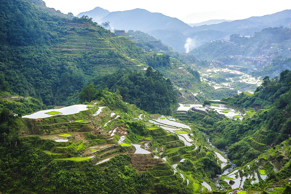 The rice terraces of Banaue, UNESCO World Heritage Site, Northern Luzon, Philippines, Southeast Asia, Asia