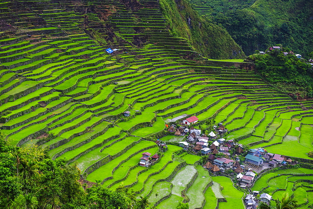 Batad rice terraces, part of the UNESCO World Heritage Site of Banaue, Luzon, Philippines, Southeast Asia, Asia