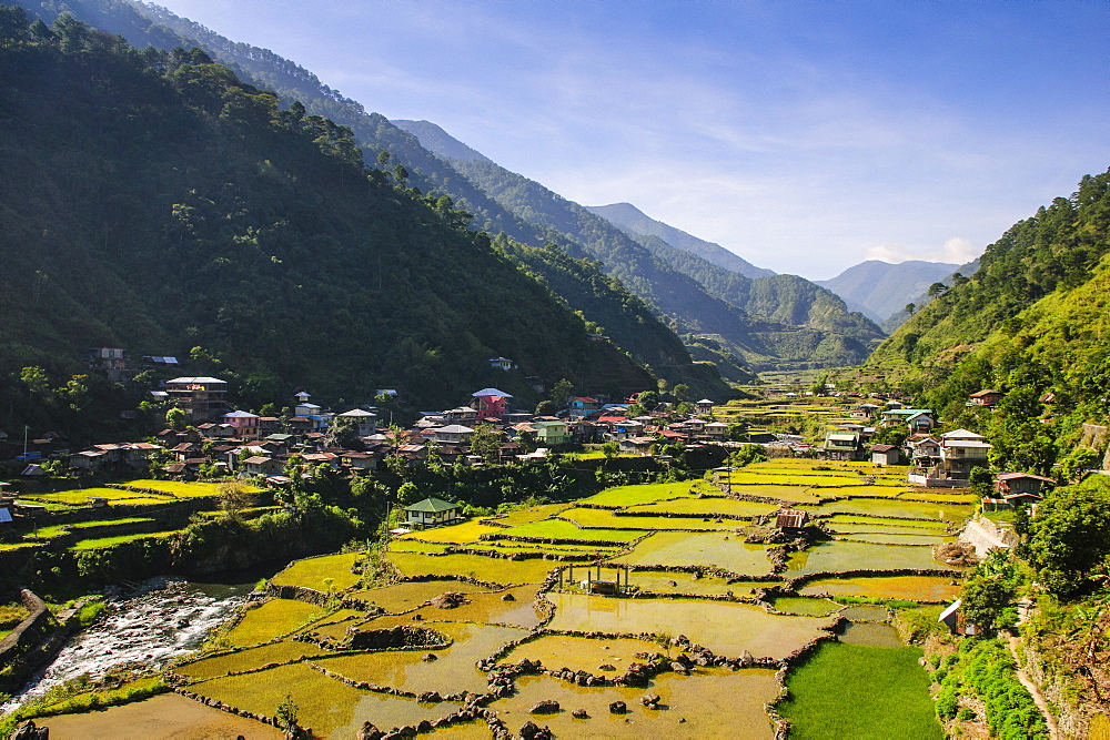 Along the rice terraces from Bontoc to Banaue, Luzon, Philippines, Southeast Asia, Asia