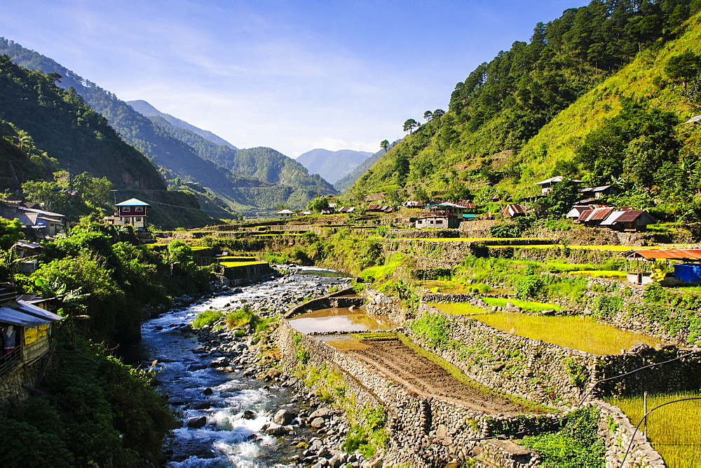 Along the rice terraces from Bontoc to Banaue, Luzon, Philippines, Southeast Asia, Asia