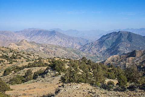 Filfil, only rainforest area in Eritrea, Africa