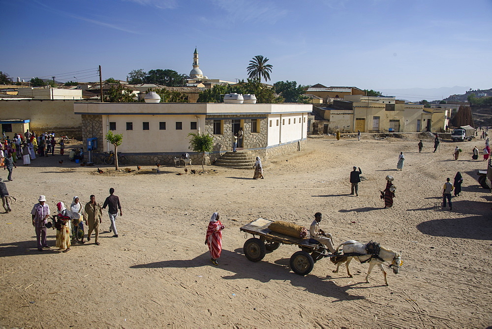 Horse cart at the Monday market of Keren, Eritrea, Africa