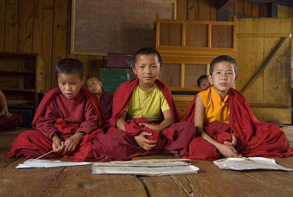 Group of young Buddhist monks learning, Chimi Lhakhang, Bhutan, Asia