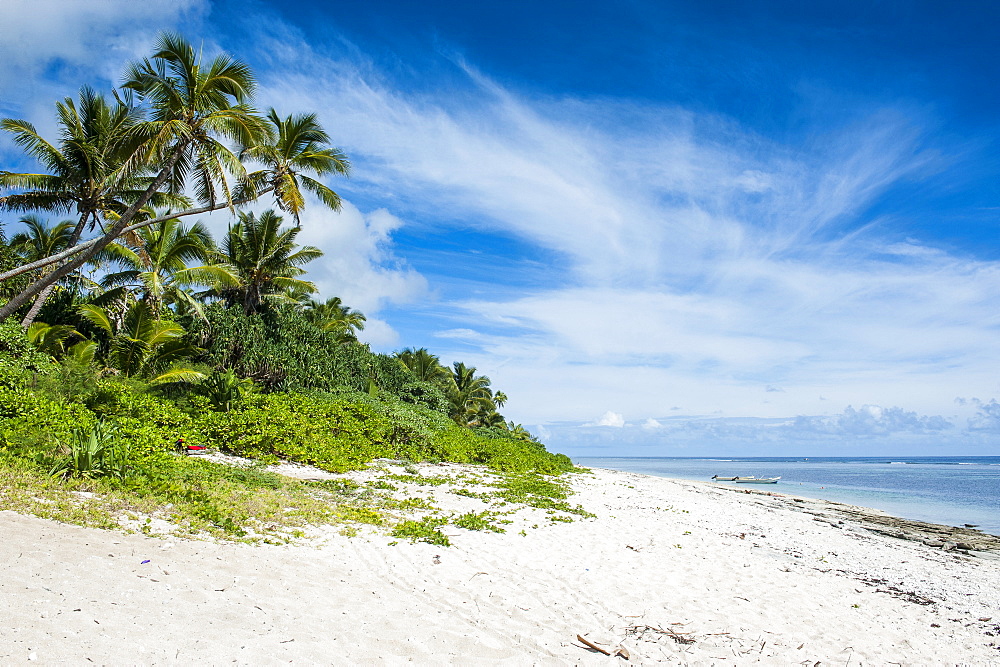 Palm fringed Kolovai beach, Tongatapu, Tonga, South Pacific, Pacific