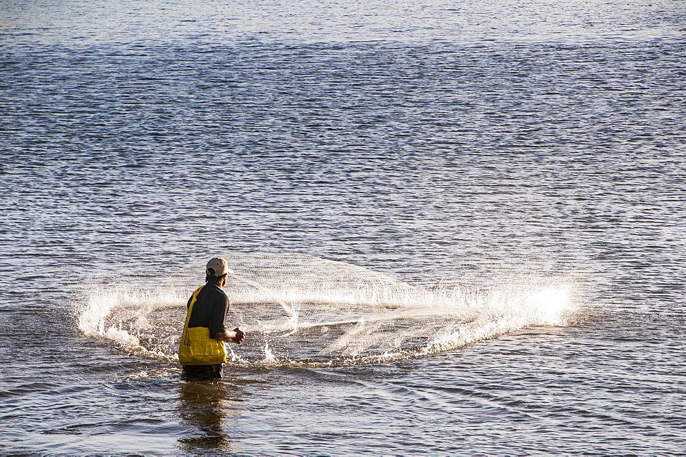 Man netfishing in the harbour of Apia, Upolu, Samoa, South Pacific, Pacific