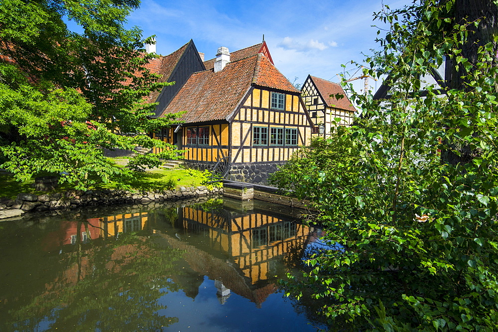 Little pond in the Old Town, Den Gamle By, open air museum in Aarhus, Denmark, Scandinavia, Europe