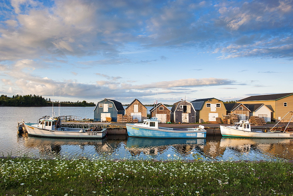 Little fishing boats in Stanley Bridge Harbour, Prince Edward Island, Canada, North America