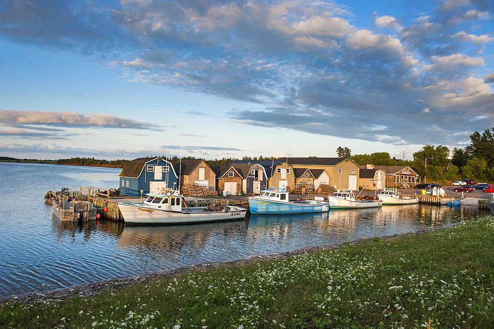 Little fishing boats in Stanley Bridge Harbour, Prince Edward Island, Canada, North America