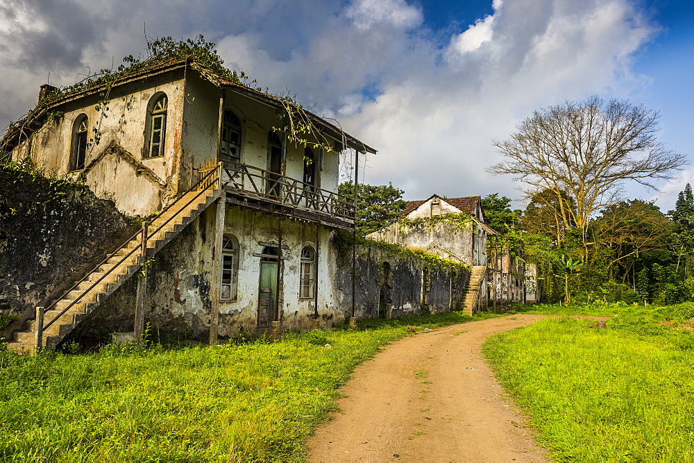 Decaying houses in the old plantation Roca Bombaim in the jungle interior of Sao Tome, Sao Tome and Principe, Atlantic Ocean, Africa