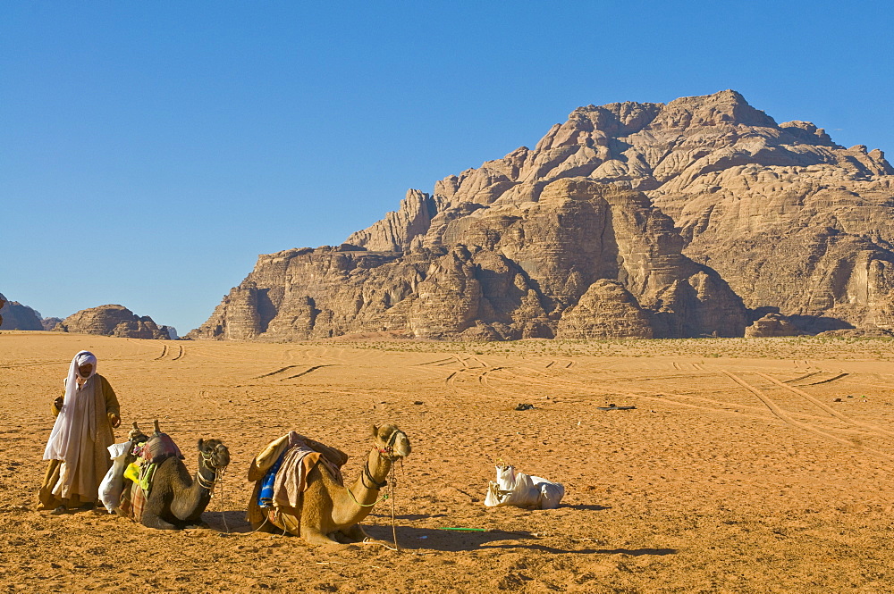 Bedouin with his camels in the stunning scenery of Wadi Rum, Jordan, Middle East