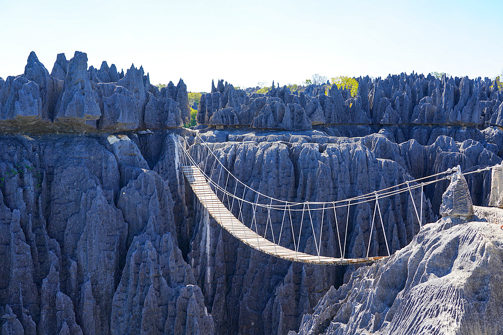 Tsingy de Bemaraha National Park, UNESCO World Heritage Site, Melaky Region, Western Madagascar, Africa