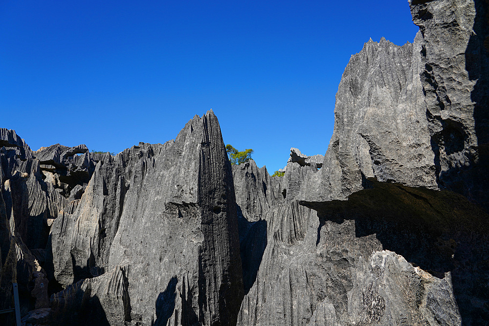 Small Tsingy, Tsingy de Bemaraha National Park, UNESCO World Heritage Site, Melaky Region, Western Madagascar, Africa