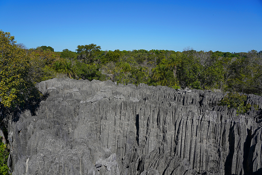 Small Tsingy, Tsingy de Bemaraha National Park, UNESCO World Heritage Site, Melaky Region, Western Madagascar, Africa