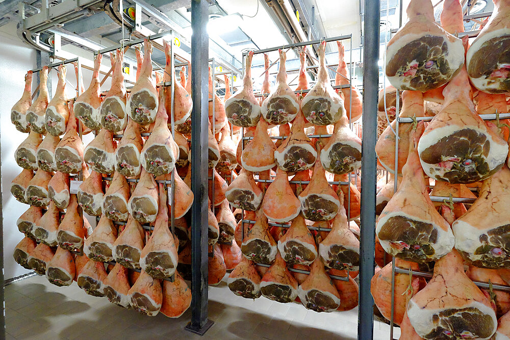 San Daniele ham preparation and maturing, San Daniele del Friuli, Udine, Friuli Venezia Giulia, Italy, Europe