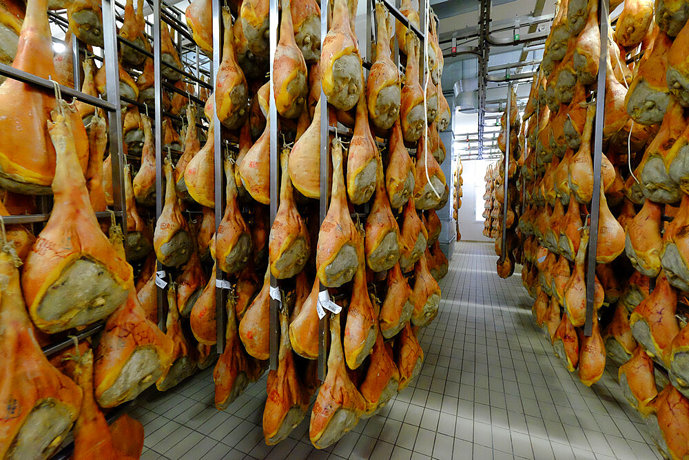 San Daniele ham preparation and maturing, San Daniele del Friuli, Udine, Friuli Venezia Giulia, Italy, Europe