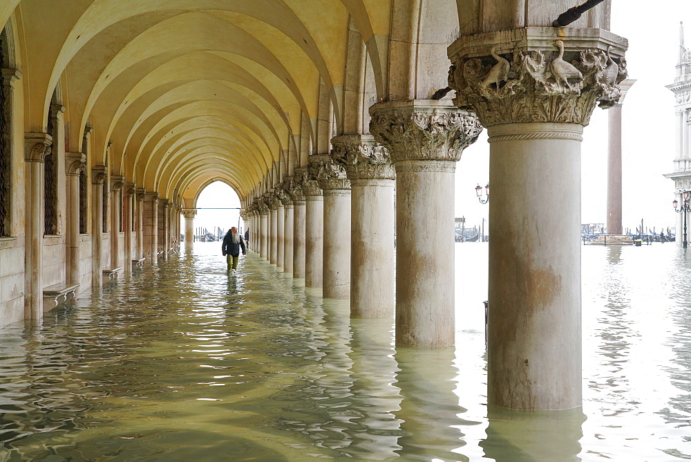 St. Mark's Square during the high tide in Venice, November 2019, Venice, UNESCO World Heritage Site, Veneto, Italy, Europe