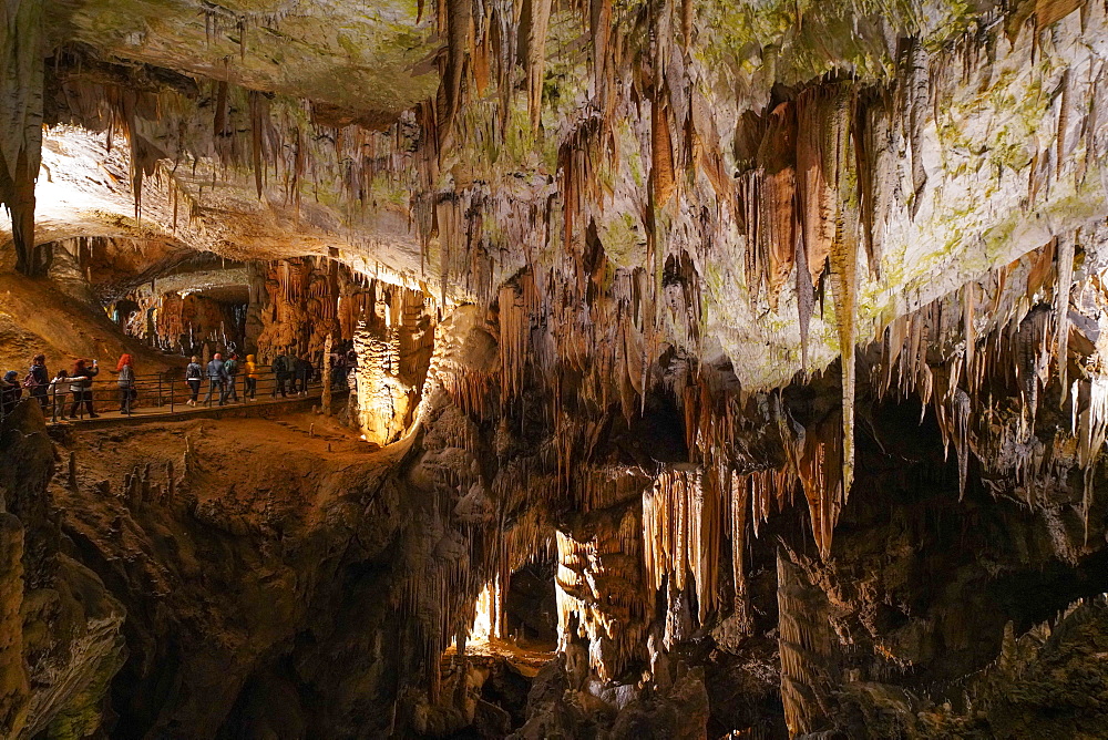 Postojna Cave, near Postojna, southwestern Slovenia, Europe