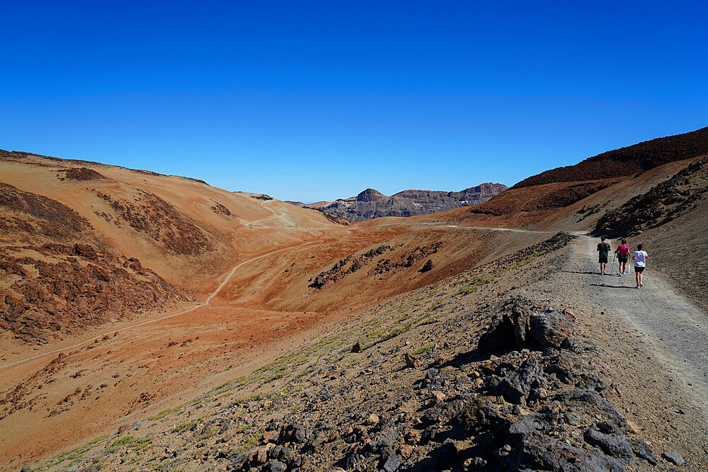 Landscape at Teide National Park, UNESCO World Heritage Site, Tenerife, Canary Islands, Spain, Atlantic, Europe