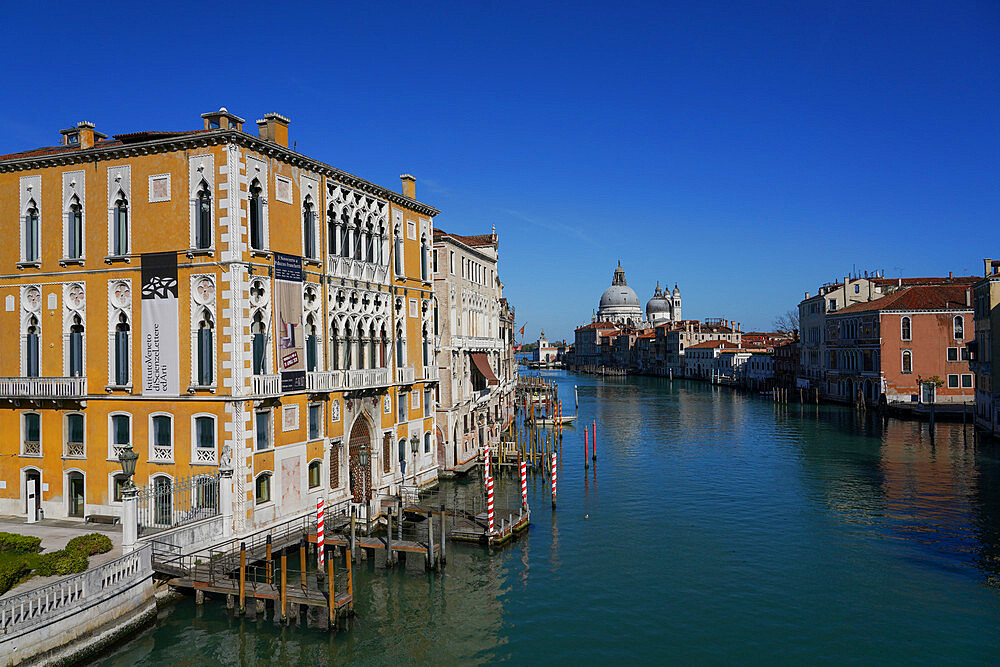 Palazzo Cavalli Franchetti on the Grand Canal of Venice during Coronavirus lockdown, Venice, UNESCO World Heritage Site, Veneto, Italy, Europe