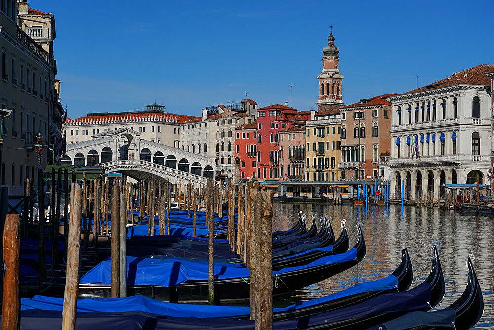 Gondolas on the Grand Canal and Rialto Bridge during Coronavirus lockdown, Venice, UNESCO World Heritage Site, Veneto, Italy, Europe