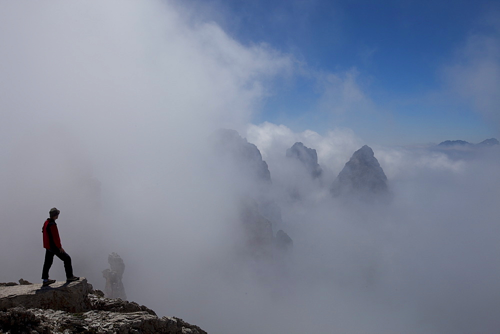 View from the top of Sfornioi nord mount 2410 meters above sea level, Dolomites, eastern Alps, Veneto, Italy, Europe