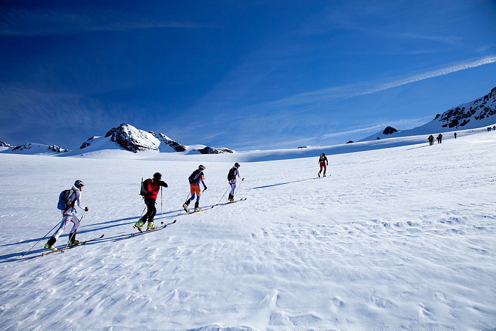 Ski touring in the Alps, ascent to Punta San Matteo, on the border of Lombardia and Trentino-Alto Adige, Italy, Europe