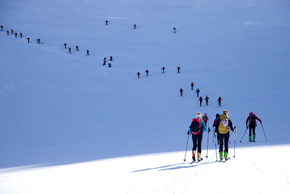 Ski touring in the Alps, ascent to Punta San Matteo, on the border of Lombardia and Trentino-Alto Adige, Italy, Europe