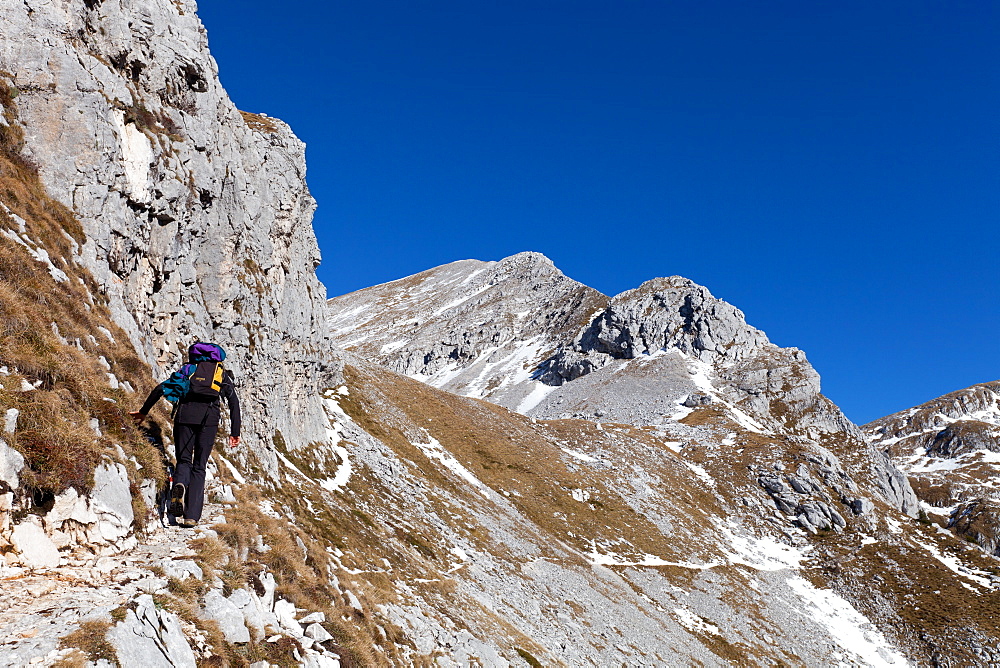 Hiker on the track to Semenza hut, Alpago, Belluno, Dolomites, Italian Alps, Veneto, Italy, Europe 