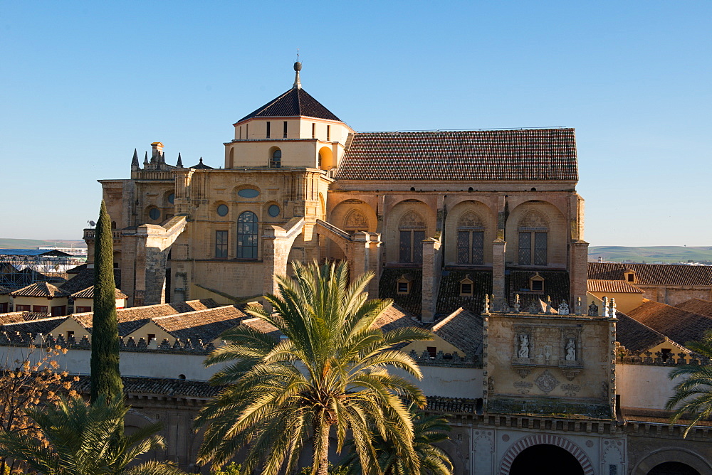 Patio de los Naranjos and the Mezquita Cathedral seen from its bell tower, UNESCO World Heritage Site, Cordoba, Andalucia, Spain, Europe