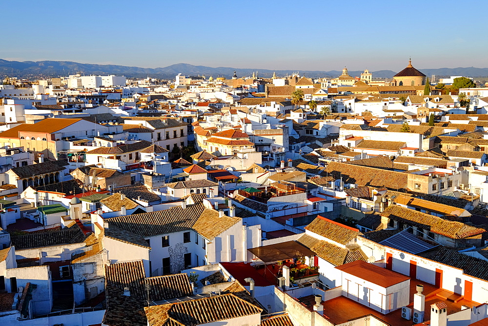 View of Cordoba from the Mezquita Cathedral bell tower, Cordoba, Andalucia, Spain, Europe