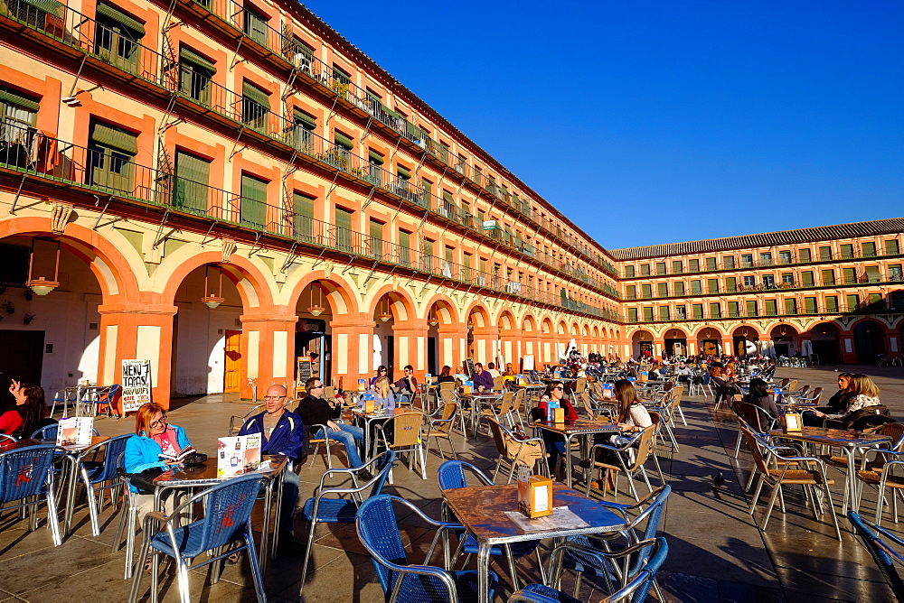 Bars at Plaza de la Corredera, Cordoba, Andalucia, Spain, Europe