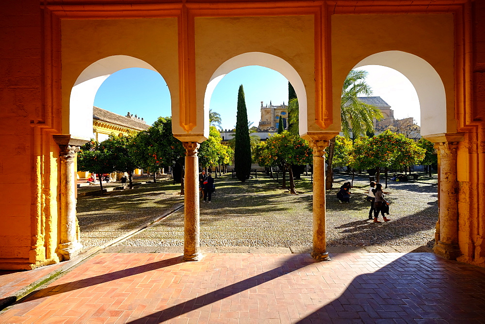 Patio de los Naranjos, Mezquita Cathedral, UNESCO World Heritage Site, Cordoba, Andalucia, Spain, Europe