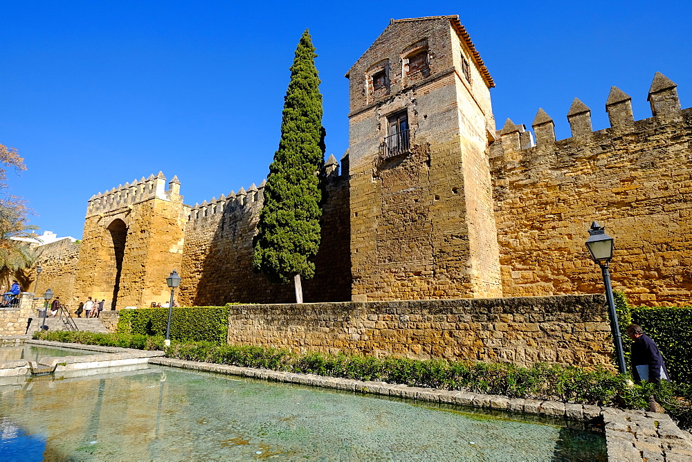 The Arab Puerta de Almodovar and the mediaeval wall, Cordoba, Andalucia, Spain, Europe