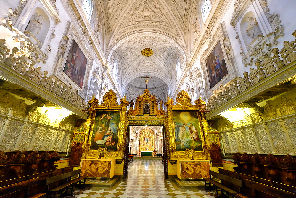 Cartuja Monastery, Granada, Andalucia, Spain, Europe