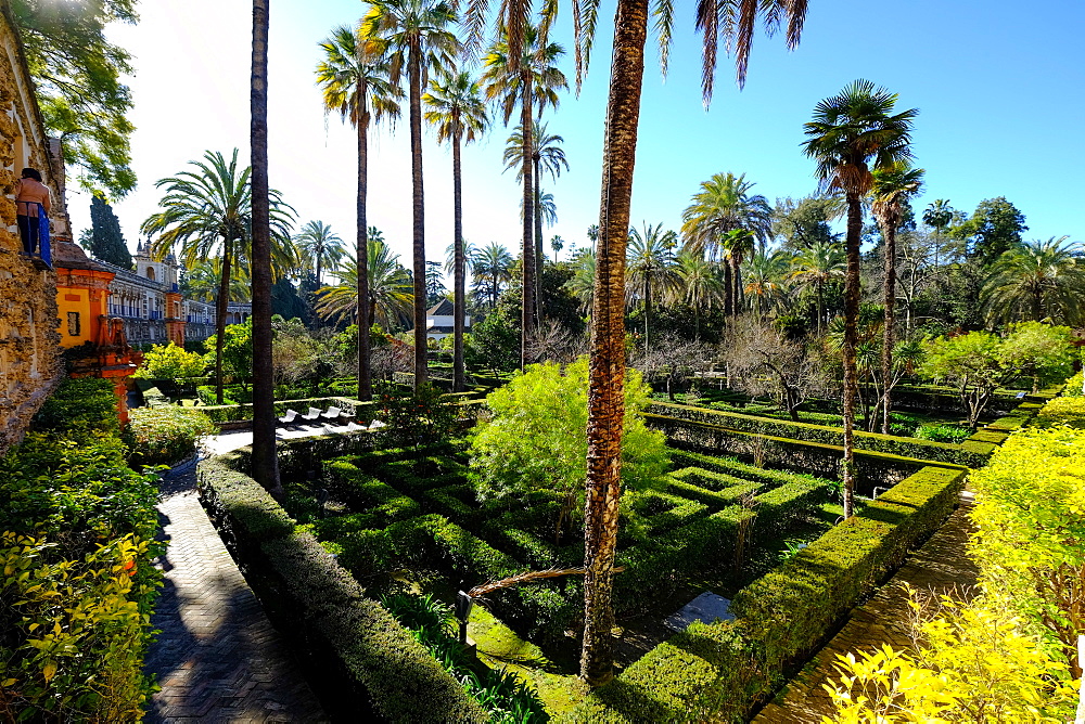 Dance Gardens, Real Alcazar, UNESCO World Heritage  Site, Seville, Andalucia, Spain, Europe