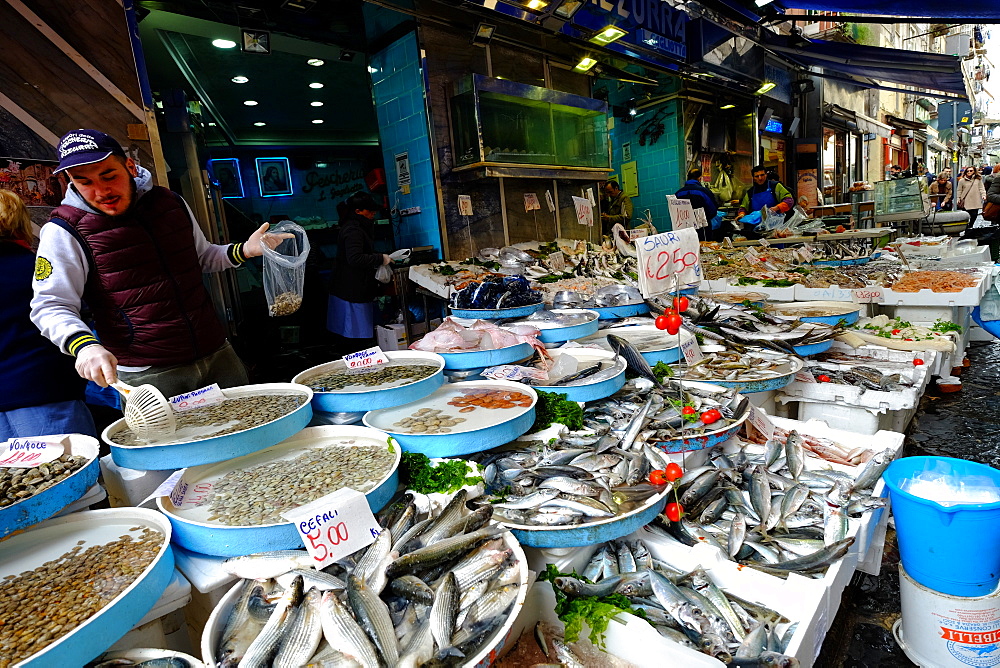 Pignasecca fish market, Naples, Campania, Italy, Europe