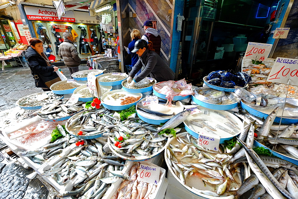 Pignasecca fish market, Naples, Campania, Italy, Europe