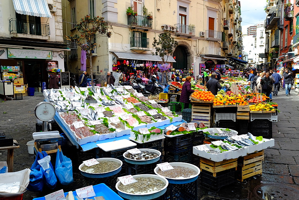 Pignasecca fish market, Naples, Campania, Italy, Europe