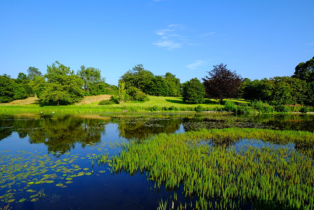 Temple Water, Castle Ward, Winterfell Game of Thrones location, near the village of Strangford, County Down, Ulster, Northern Ireland, United Kingdom, Europe