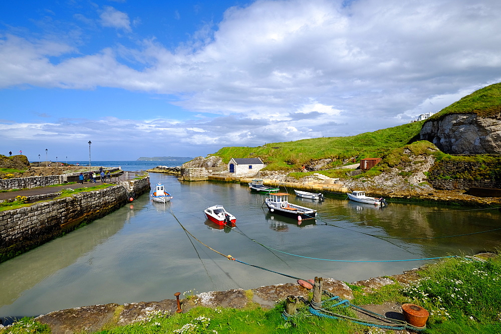 Ballintoy Harbour, Ballycastle, County Antrim, Ulster, Northern Ireland, United Kingdom, Europe