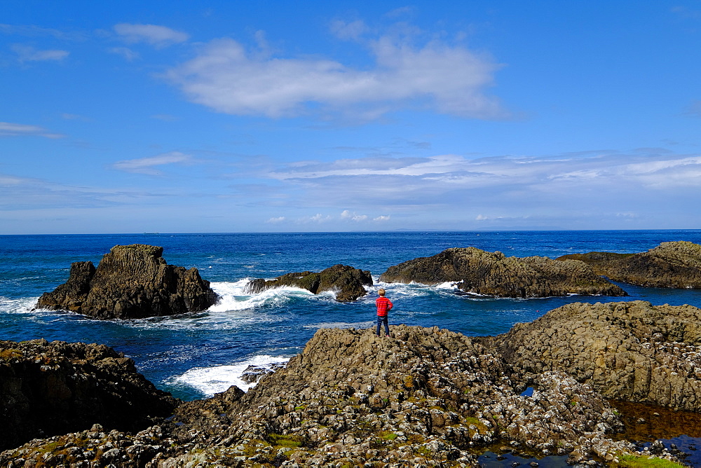 Ballintoy Harbour, Ballycastle, County Antrim, Ulster, Northern Ireland, United Kingdom, Europe