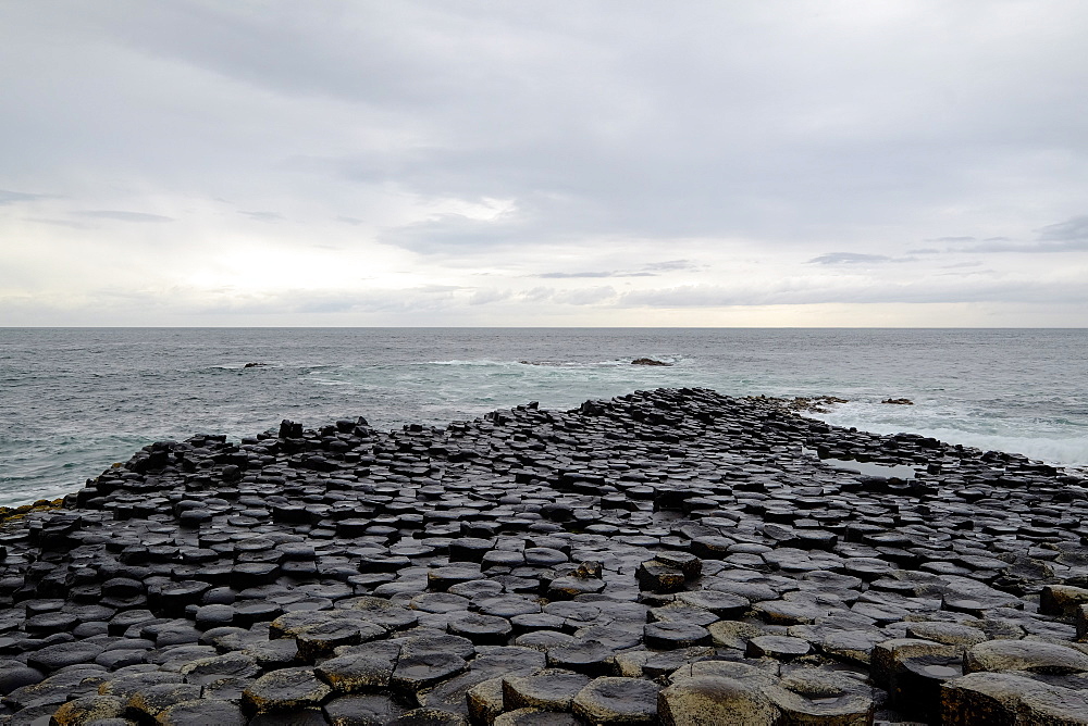 Giant's Causeway, UNESCO World Heritage Site, Bushmills, County Antrim, on the north coast of Northern Ireland, Ulster, Northern Ireland, United Kingdom, Europe