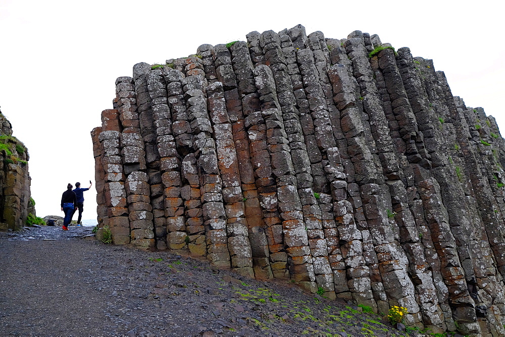 Giant's Causeway, UNESCO World Heritage Site, Bushmills, County Antrim, on the north coast of Northern Ireland, Ulster, Northern Ireland, United Kingdom, Europe