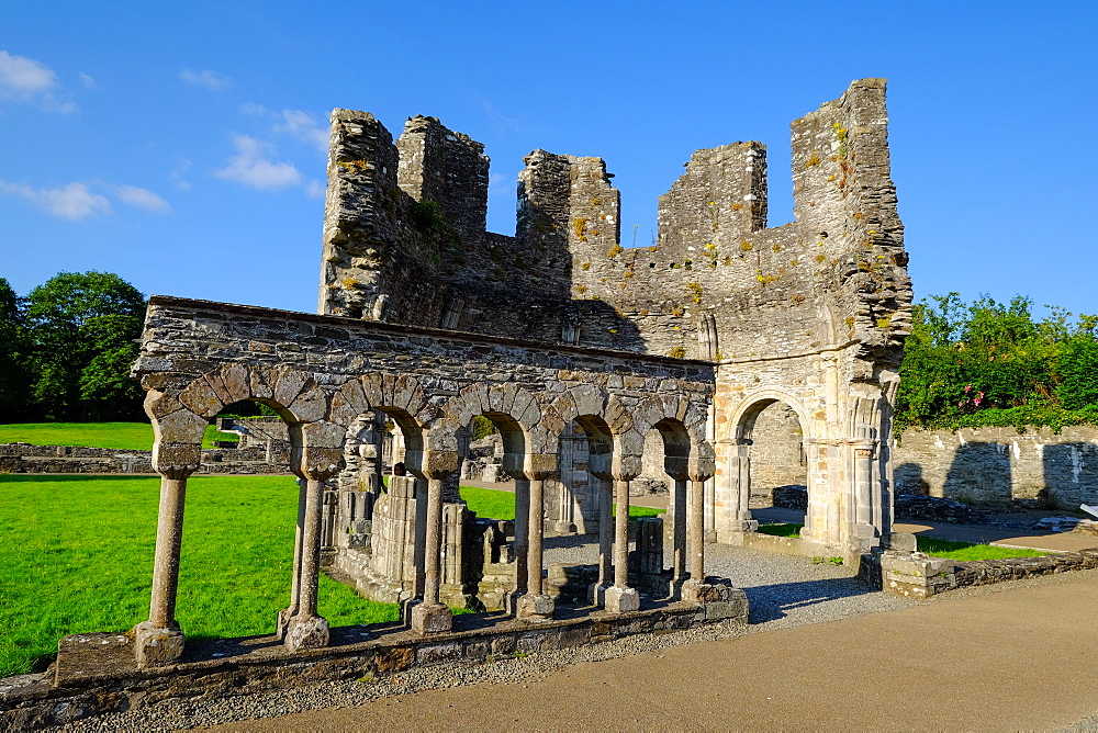 Mellifont Abbey, a Cistercian abbey, Drogheda, County Louth, Leinster, Republic of Ireland, Europe