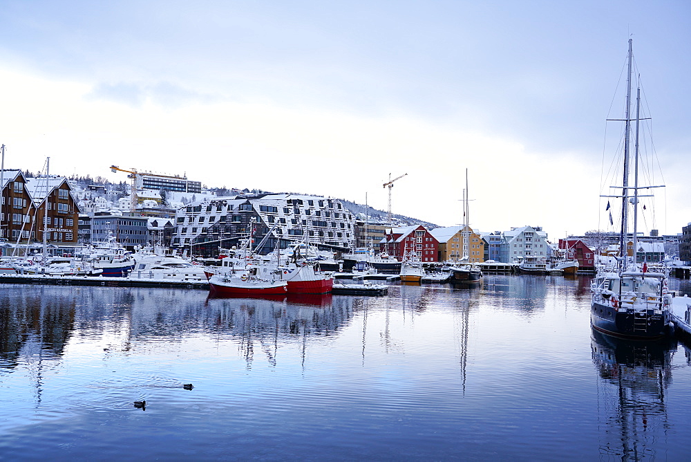 Tromso Harbour, Tromso, Troms County, Norway, Scandinavia, Europe